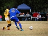 wdsc_0088